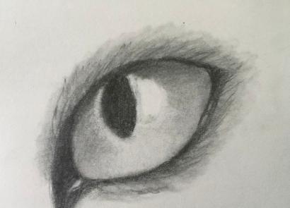 Как нарисовать кошачий глаз