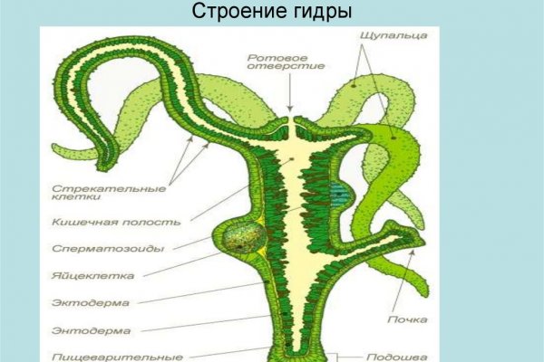 Взломали аккаунт на кракене что делать