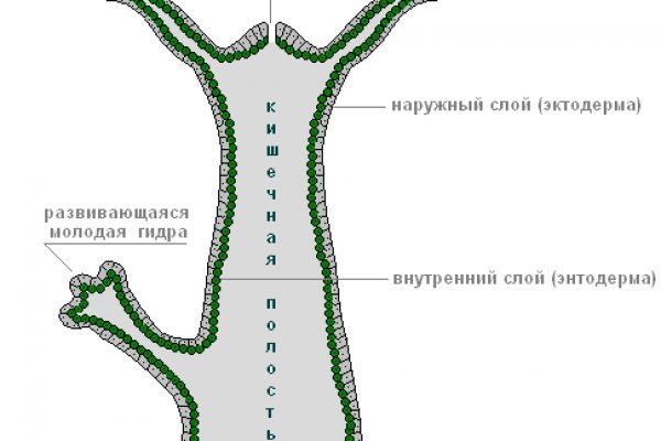 Оригинальная ссылка на кракен